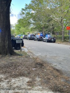 Rcsd Domestic