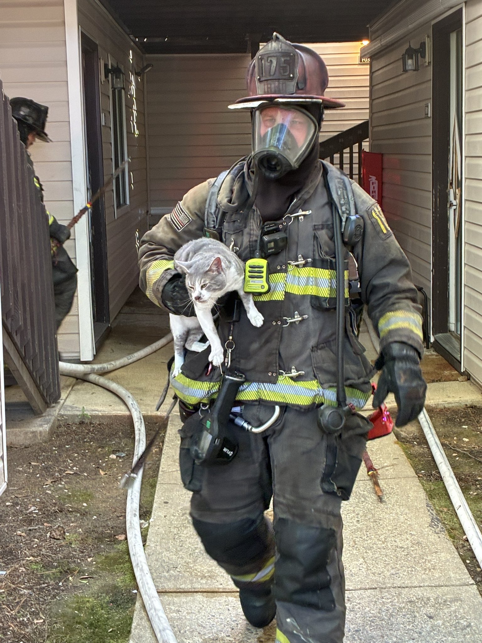 8 people in apartment building left displaced after fire - ABC